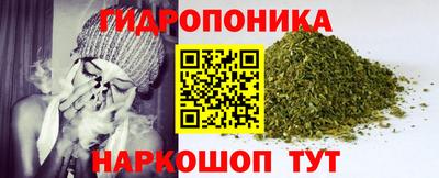 амф Донской