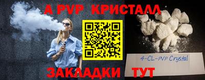 амф Донской